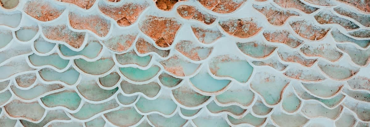 aquatic thermal springs microbiome