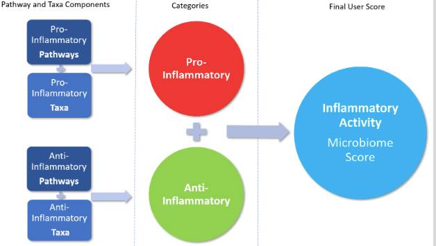 inflammation scores
