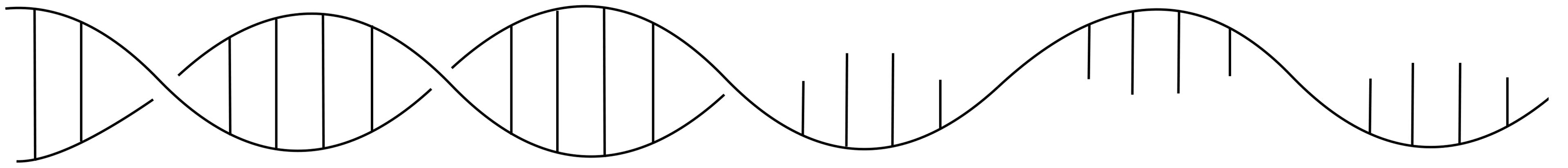 DNA Strand