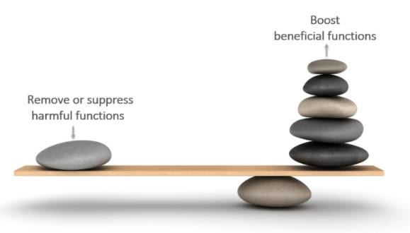 rocks balanced