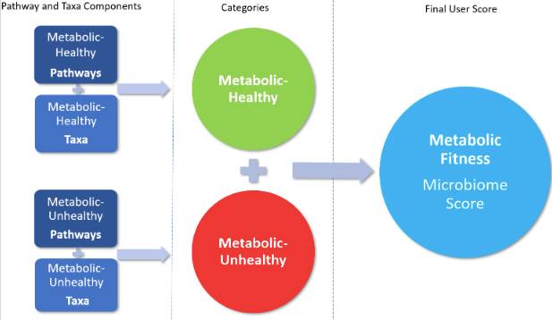 metabolic fitness score