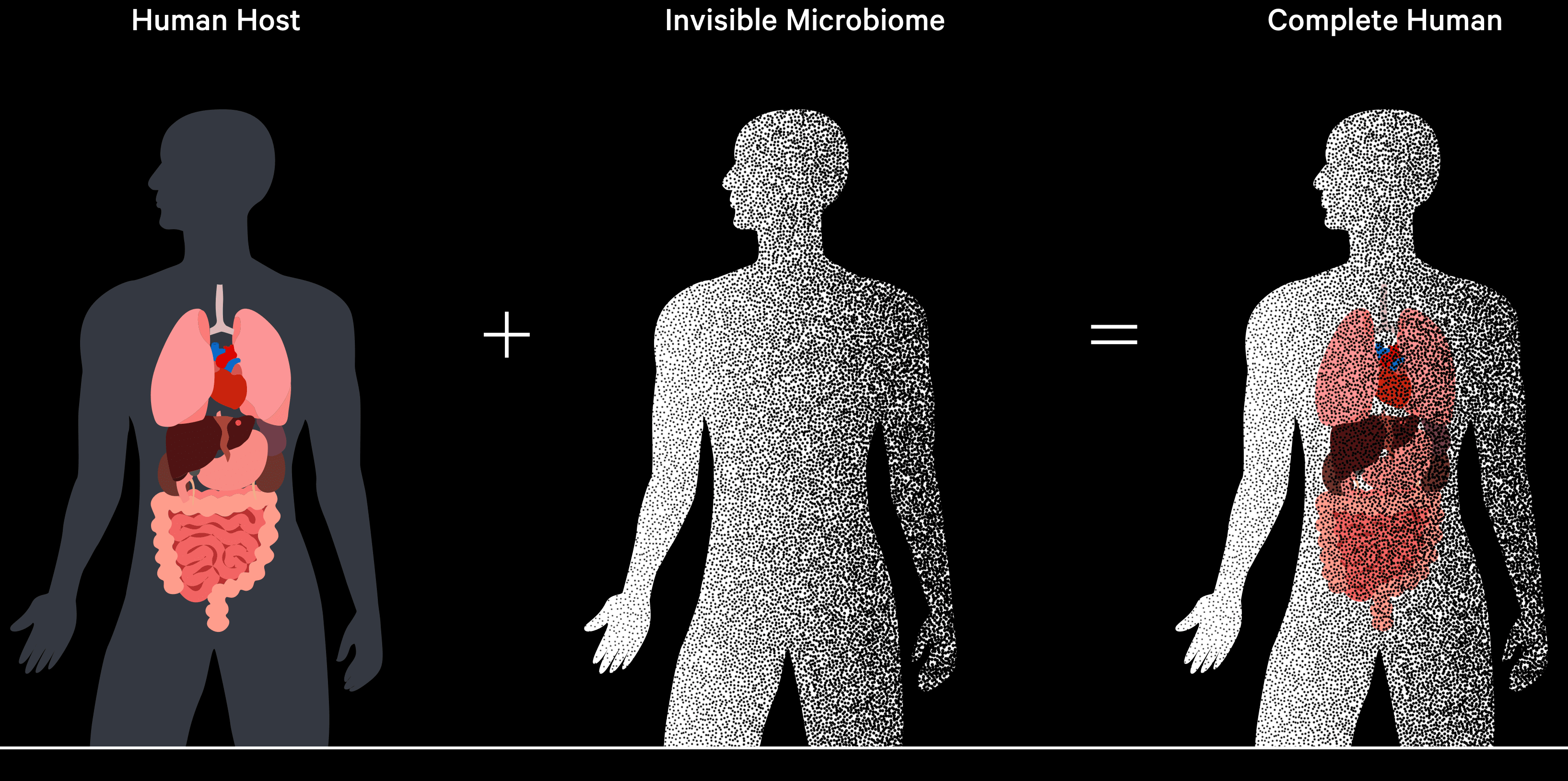 Human Host + Invisible Microbiome = Complete Human